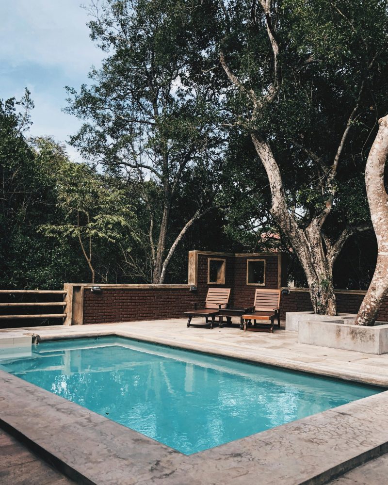 adheesha-paranagama-kOYh8C_xLUQ-unsplash