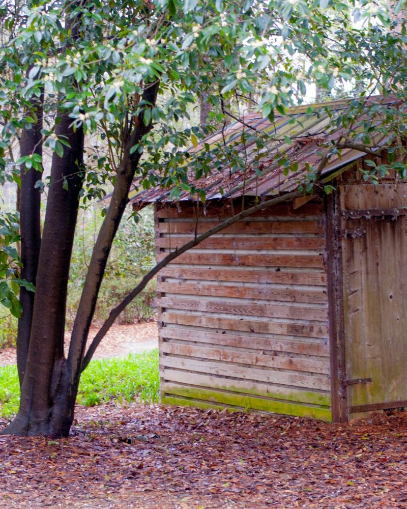 le-ora-monroe-ErEG8SvFTB4-unsplash