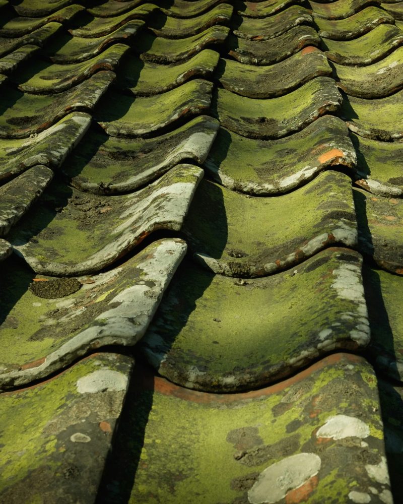 pedro-netto-R-Ua1YKOcrs-unsplash