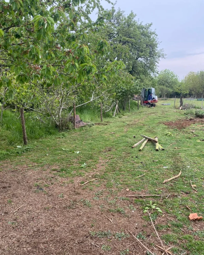 Réalisation, Paysagiste Pillet, paysagiste à Luçon