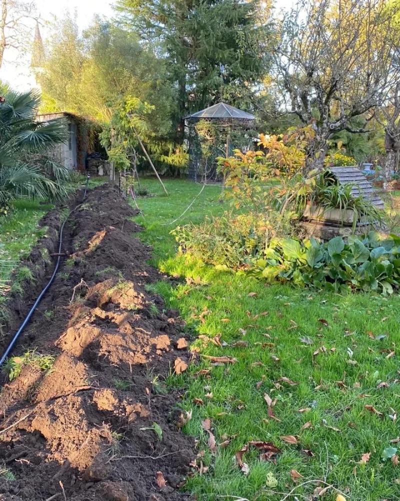 Réalisation, Paysagiste Pillet, paysagiste à Luçon