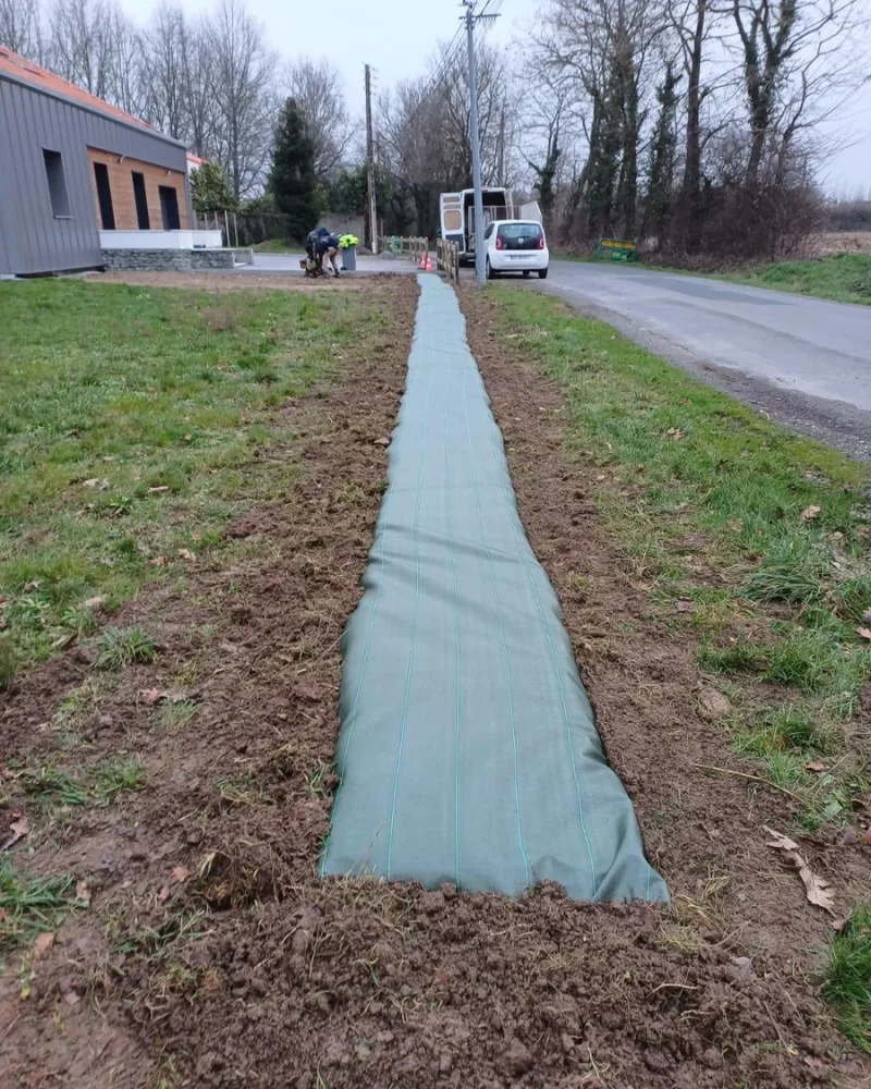 Réalisation, Paysagiste Pillet, paysagiste à Luçon