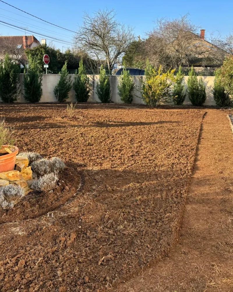 Réalisation, Paysagiste Pillet, paysagiste à Luçon