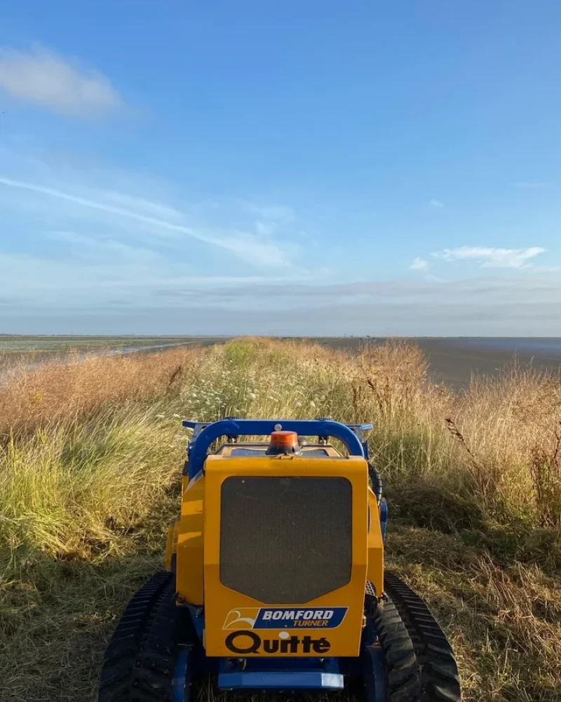 Réalisation, Paysagiste Pillet, paysagiste à Luçon