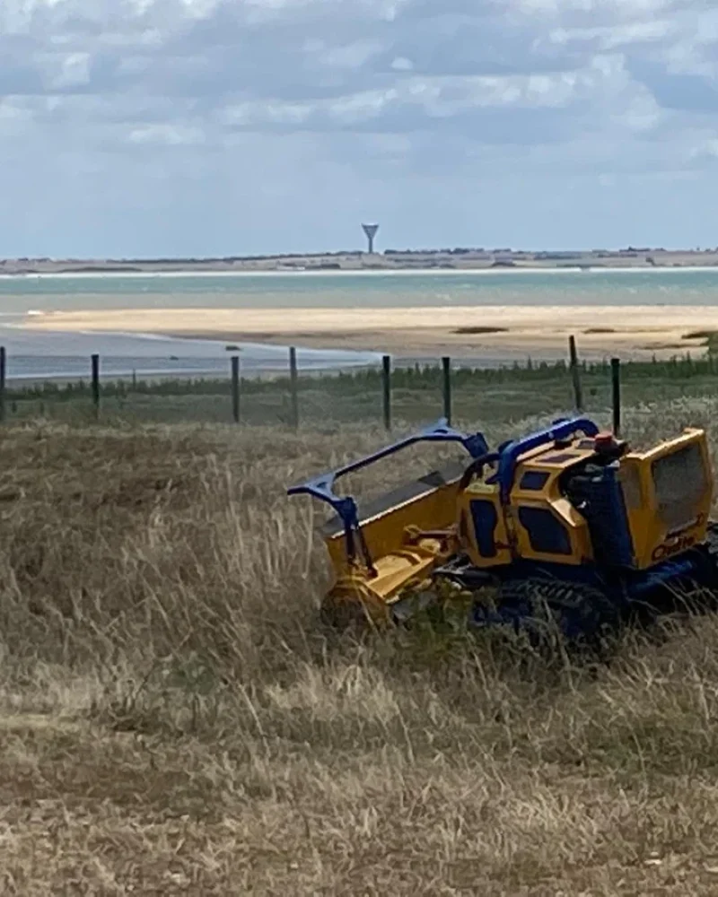 Réalisation, Paysagiste Pillet, paysagiste à Luçon