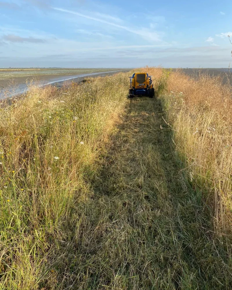 Réalisation, Paysagiste Pillet, paysagiste à Luçon