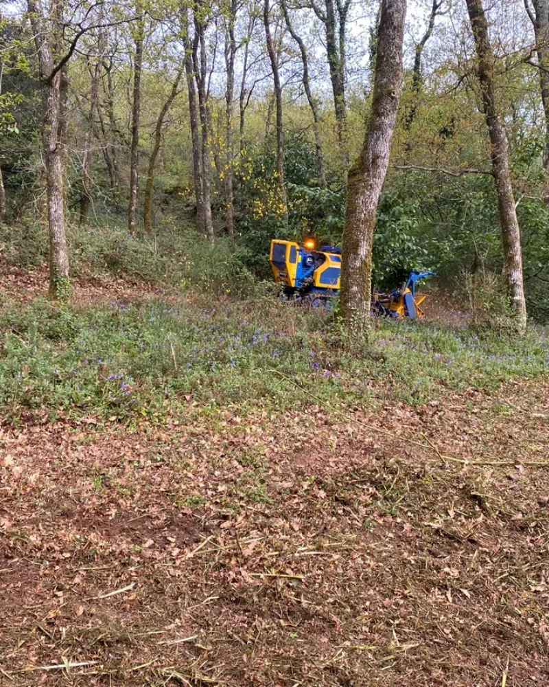 Réalisation, Paysagiste Pillet, paysagiste à Luçon