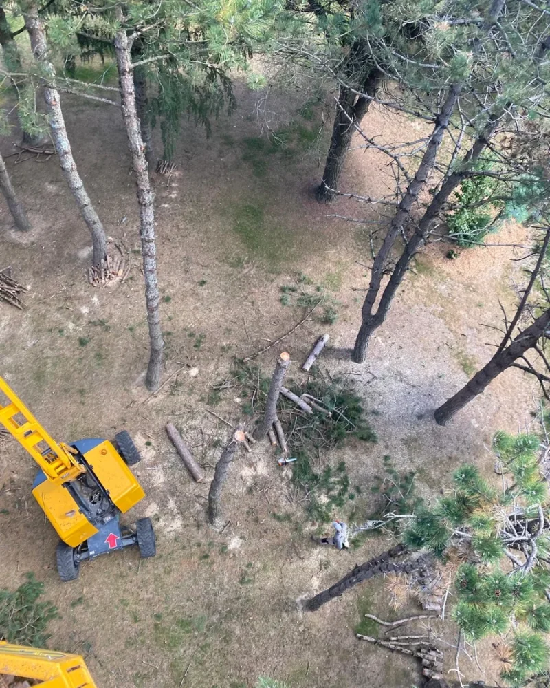Réalisation, Paysagiste Pillet, paysagiste à Luçon