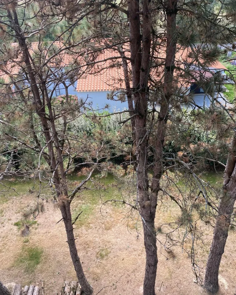 Réalisation, Paysagiste Pillet, paysagiste à Luçon