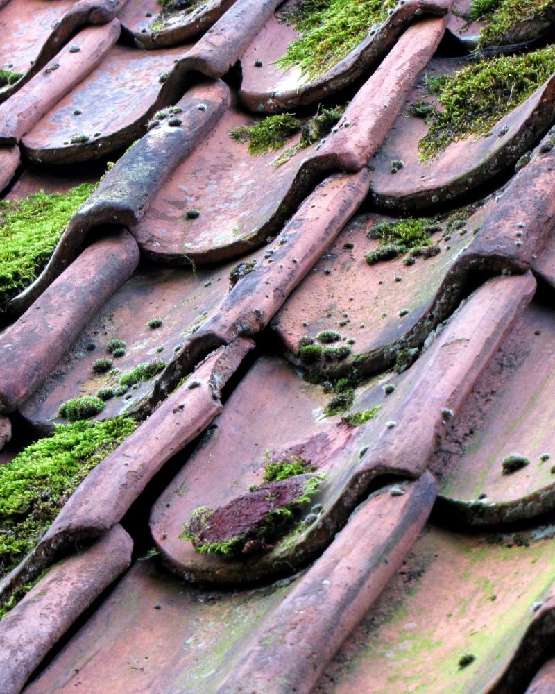 willy-the-wizard-ehRwxePohx0-unsplash